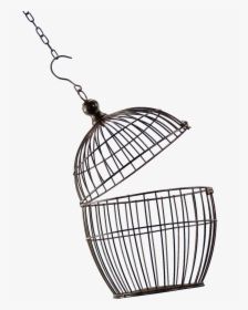 Bird Cage Png Image - Open Bird Cage Png, Transparent Png, Transparent PNG