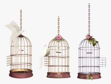 White Bird Cage - Birdcage Png, Transparent Png, Transparent PNG