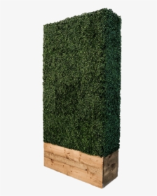 Hedge Wall - Hedge, HD Png Download, Transparent PNG