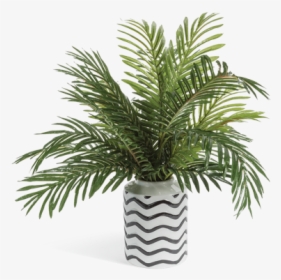 Phoenix Palm Abstract Vase Greenery Arrangement   Title - Palm Tree In Vase Png, Transparent Png, Transparent PNG