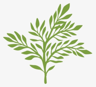 Greenery Svg Cut File - Greenery Svg, HD Png Download, Transparent PNG
