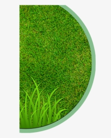 Landscaping Clipart Hedge Cutting - Circle, HD Png Download, Transparent PNG