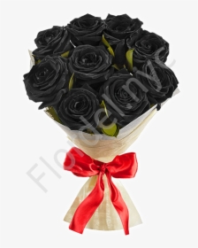 Black Roses With Red Bow - Garden Roses, HD Png Download, Transparent PNG
