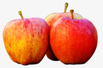 Apple Fruit Clip Art - Apple Images In Png, Transparent Png, Transparent PNG