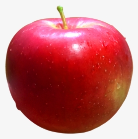 Apple Fruit Png, Transparent Png, Transparent PNG
