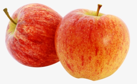 Apples Png Image Gala Apples - Haralson Apples, Transparent Png, Transparent PNG