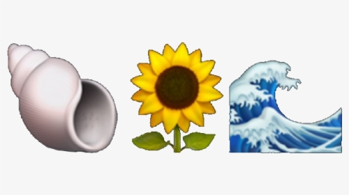 #emoji #aesthetic #tumblr #sunflower #sea #water #shell - Aesthetic Sunflower Easy, HD Png Download, Transparent PNG