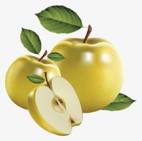 Green Apple S Png Image - Realistic Fruit Vector, Transparent Png, Transparent PNG