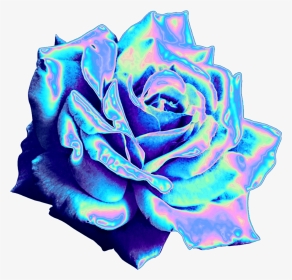 Top 10 Holographic Flowers - Holographic Rose, HD Png Download, Transparent PNG