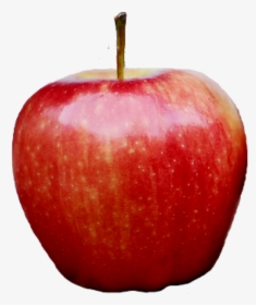 Red Kashmir Apple Png Free Download - Transparent Background Apple Png, Png Download, Transparent PNG
