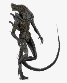 - Neca Alien Defiance Xenomorph , Png Download - Aliens Defiance Xenomorph Figure, Transparent Png, Transparent PNG