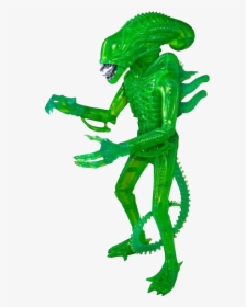 Super 7 Xenomorph Acid Blood Green 18in Figure - Alien Action Figure Green, HD Png Download, Transparent PNG