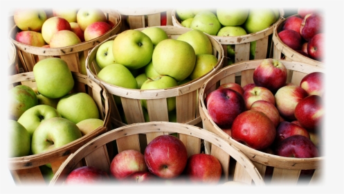 Transparent Apples Png - Produccion De Manzanas Y Peras, Png Download, Transparent PNG