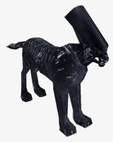Oie Transparent - Dog Catches Something, HD Png Download, Transparent PNG