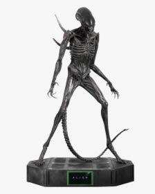 Alien Covenant Xenomorph Statue, HD Png Download, Transparent PNG