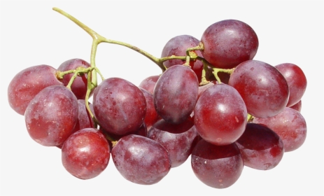 Transparent Fruits Png - Cluster Grapes Png, Png Download, Transparent PNG