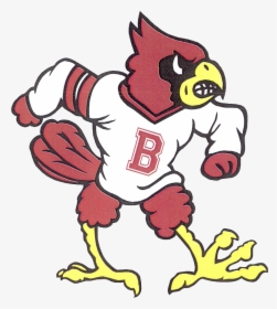 School Logo - Stewartsville Cardinals, HD Png Download, Transparent PNG