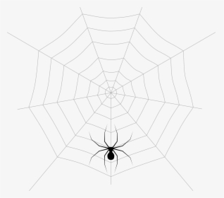 Spider Web Pattern Symmetry Point Angle, HD Png Download, Transparent PNG