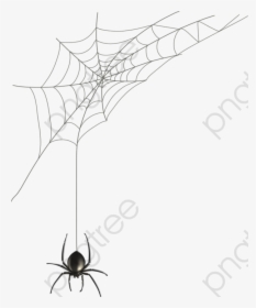 Transparent Spider Web Clip Art, HD Png Download, Transparent PNG