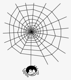 Maths In Spider Webs, HD Png Download, Transparent PNG