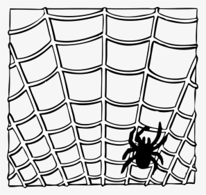 Spider, Web, Insect, Animal, Halloween, Creepy, Nature - Transparent Spider Web Web Clipart, HD Png Download, Transparent PNG