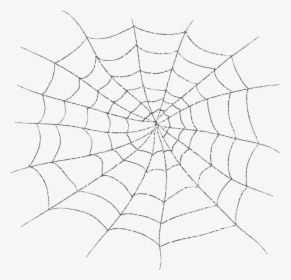 Spiderweb Clipart Spider Silk, HD Png Download, Transparent PNG