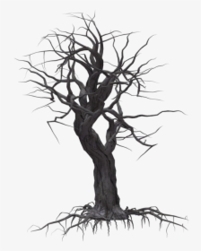 Creepy Tree 05 By Wolverine041269 On Clipart Library - Creepy Tree Transparent Background, HD Png Download, Transparent PNG