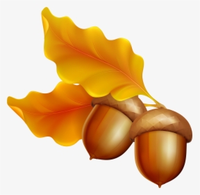 Acorn Leaf Oak Clip Art - Acorns And Leaves Clipart, HD Png Download, Transparent PNG