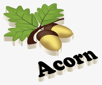 Acorn - Aleena Name, HD Png Download, Transparent PNG