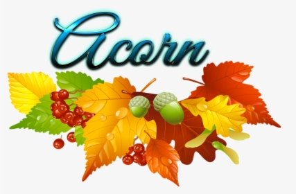 Acorn Transparent - Fall Leaf Clipart, HD Png Download, Transparent PNG