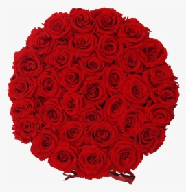 Orb Grand Red Roses   Class Lazyload Lazyload Fade - Garden Roses, HD Png Download, Transparent PNG