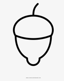 Acorn Coloring Page, HD Png Download, Transparent PNG