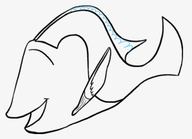 How To Draw Dory - Drawing, HD Png Download, Transparent PNG