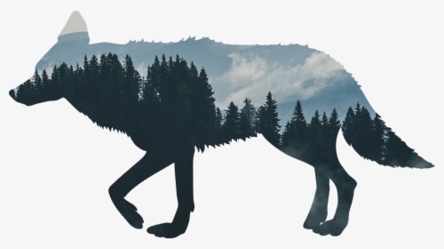 Coyote Silhouette Transparent, HD Png Download, Transparent PNG