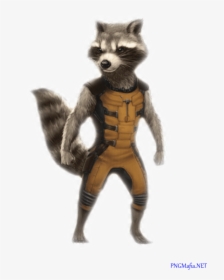 Transparent Guardians Of The Galaxy Png - Marvel Guardians Of The Galaxy Rocket Raccoon, Png Download, Transparent PNG