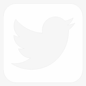 Twittericon White - Twitter Icon White Transparent, HD Png Download, Transparent PNG