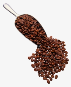 Transparent Grain Png - Coffee Beans Transparent Png, Png Download, Transparent PNG