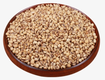 Cereal Tea Barley Rice - Cranberry Bean, HD Png Download, Transparent PNG