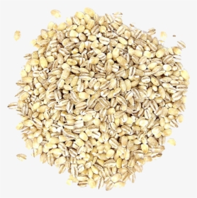 Barley Grain Png Pic - Hulled Barley, Transparent Png, Transparent PNG