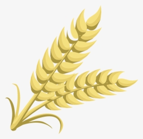 Transparent Wheat Png - Grain Clipart, Png Download, Transparent PNG