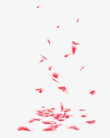 Falling Rose Petals Png Transparent - Transparent Flowers Falling Png, Png Download, Transparent PNG