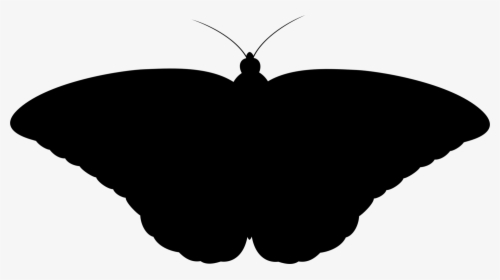 Black Butterfly Gif Png, Transparent Png, Transparent PNG