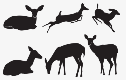 Deer, Silhouette, Nature, Animals, Wild, Animal, HD Png Download, Transparent PNG