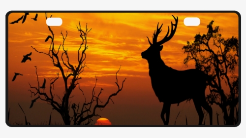 Sunset Deer Silhouette License Plate - Elk, HD Png Download, Transparent PNG