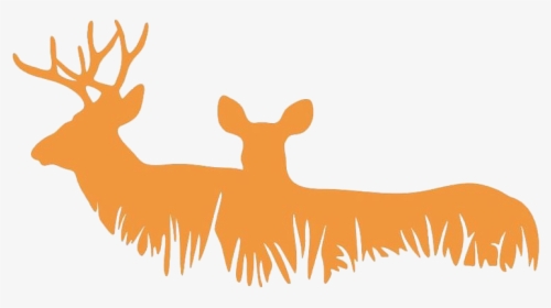#buckdoe #deer #silhouette #freetoedit - Deer Stickers For Cars, HD Png Download, Transparent PNG