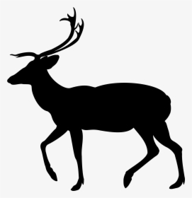 Clip Art White-tailed Deer Silhouette Moose - Deer, HD Png Download, Transparent PNG