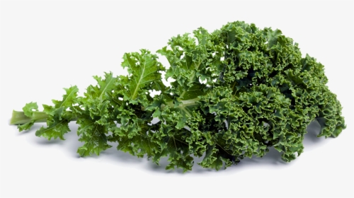 Kale Png Picture - Fruits Vegetables Whole Grains Nuts Legumes, Transparent Png, Transparent PNG
