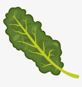 Cartooned Image Of Kale - Kale Clipart Png, Transparent Png, Transparent PNG