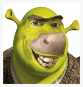 Shrek Profile, HD Png Download, Transparent PNG