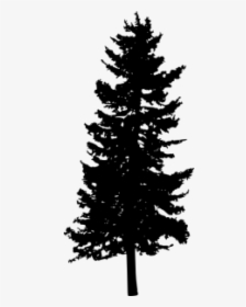 Free Png Pine Tree Silhouette Png Images Transparent - Transparent Background Pine Tree Graphic Png, Png Download, Transparent PNG